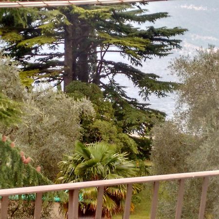 Gardens House Διαμέρισμα Βαρένα Εξωτερικό φωτογραφία